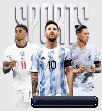 乐动体育围绕看球场景设计的核心服务 - LDSPORTS